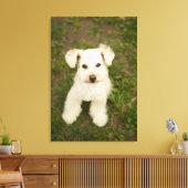 プードル（白） キャンバスプリント (インサイチュ (リビング))