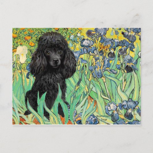 プードル(黒1)- アイリス ポストカード (正面)