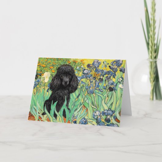 プードル（黒1） - Irises カード (正面)