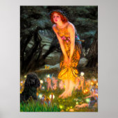 プードル（黒1） – MidEve ポスター (正面)