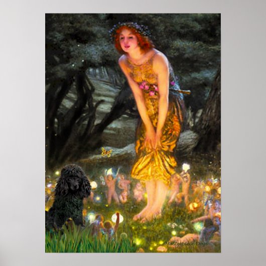 プードル(黒1) – MidEve ポスター (正面)