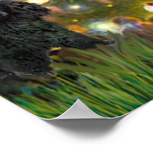 プードル（黒1） – MidEve ポスター (角)