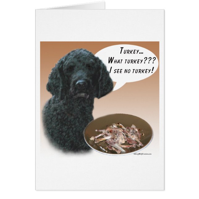 プードル（黒）トルコ (正面)