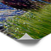 プードル(14W) – スターリーナイト ポスター (角)