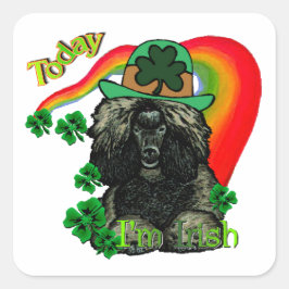 プードルSt patricks day スクエアシール