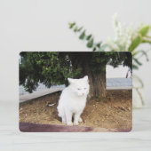 プーピングキャットフラットホリデーカード シーズンカード (スタンド正面)