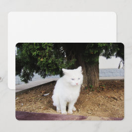 プーピングキャットフラットホリデーカード シーズンカード