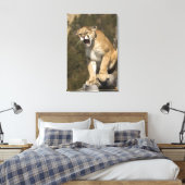 プーマまたはマウンテンライオン、プーマの色、捕虜 – キャンバスプリント (インサイチュ (寝室))
