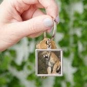 プーマまたはマウンテンライオン、プーマの色、捕虜 –  キーホルダー (手)