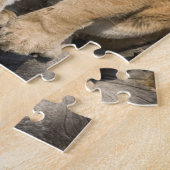 プーマまたはマウンテンライオン、プーマの色、捕虜 –  ジグソーパズル (側面)