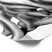 プーマファミリー白黒ラインアートスケッチ ポスター (角)