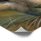 プーママウンテンキャットポスタープリント ポスター (角)