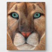 プーマ フォトプラーク (正面)