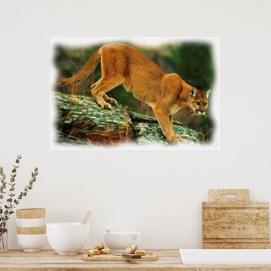 プーマ ポスター (キッチン)