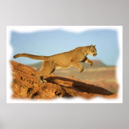 プーマ ポスター (正面)