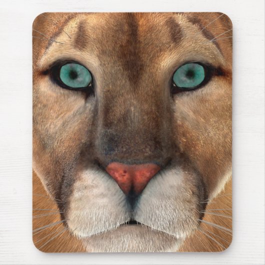 プーマ マウスパッド (正面)