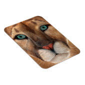 プーマ マグネット (右側)