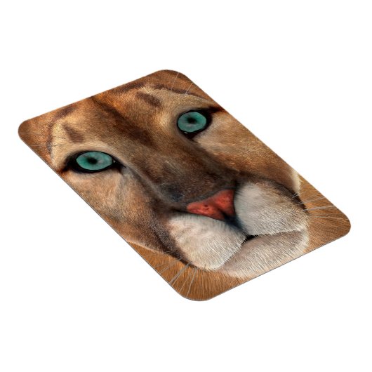 プーマ マグネット (右側)