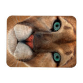 プーマ マグネット (横)