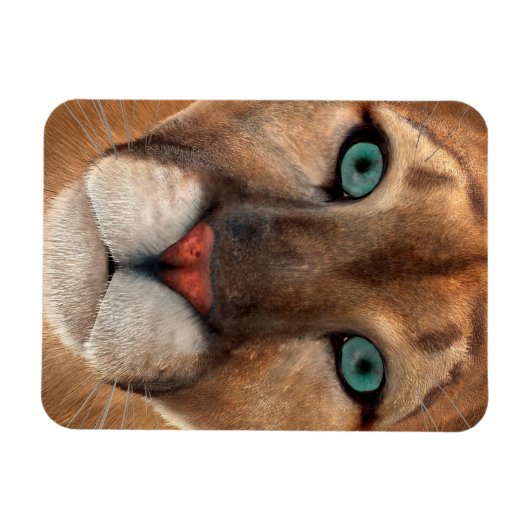 プーマ マグネット (横)