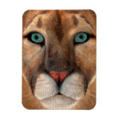 プーマ マグネット (縦)