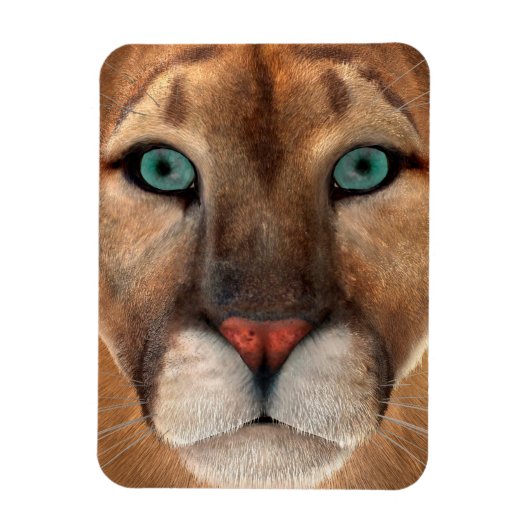 プーマ マグネット (縦)