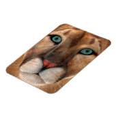 プーマ マグネット (左側)