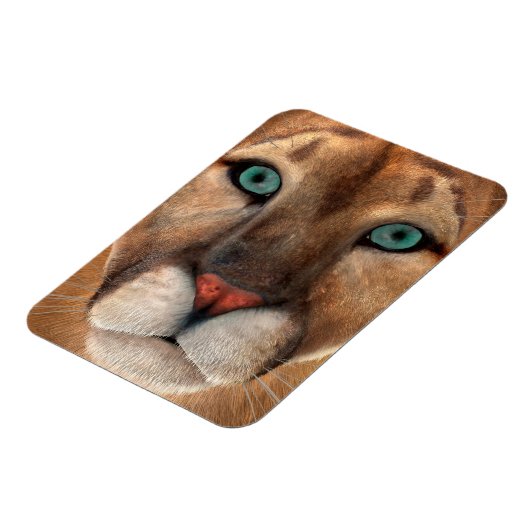 プーマ マグネット (左側)