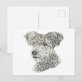 プーミ ポストカード (正面/裏面)