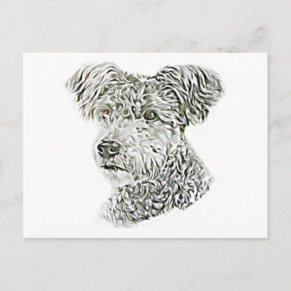 プーミ ポストカード