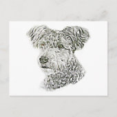 プーミ ポストカード (正面)