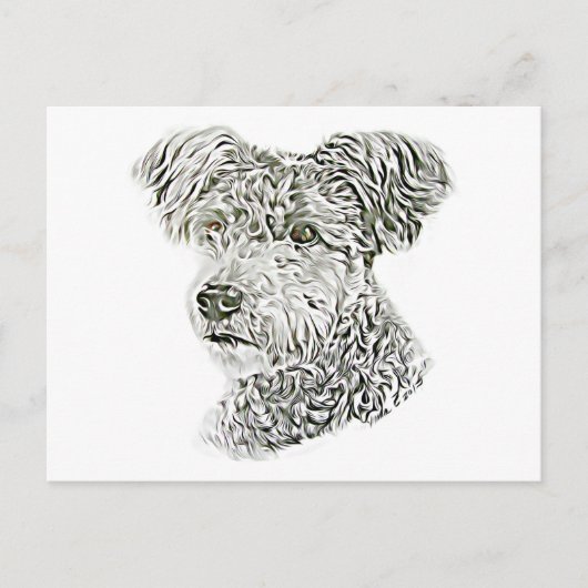 プーミ ポストカード (正面)