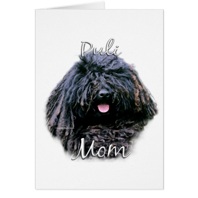 プーリママ2 (正面)