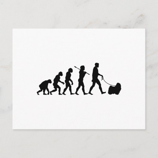 プーリ ポストカード (正面)