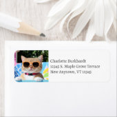 プールおもしろいでサングラスをかけている猫 ラベル (インサイチュ)