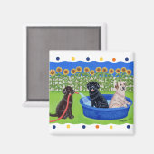 プールおもしろいパーティーラブラドール マグネット (正面/裏面)