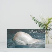 プールからのかわいいシロイルカのクジラの棒の顔 サンキューカード (スタンド正面)