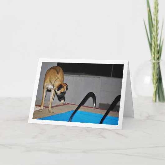 プールでの犬 カード (正面)