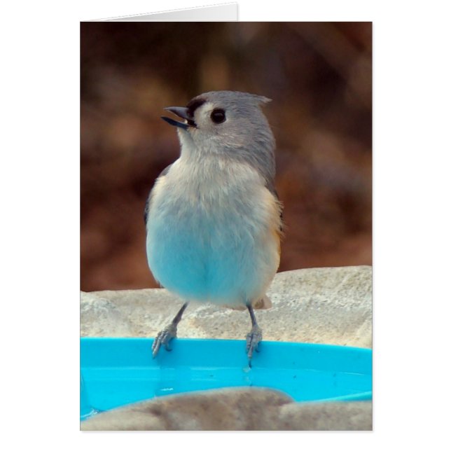 プールで (正面)