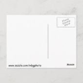 プールのミルカバーブリッジ ポストカード (裏面)