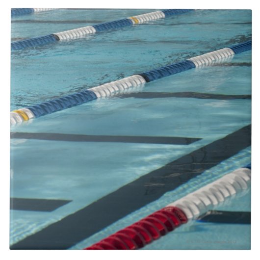 プールの作成のプラスチック分離器 タイル (正面)