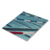 プールの作成のプラスチック分離器 タイル (側面)