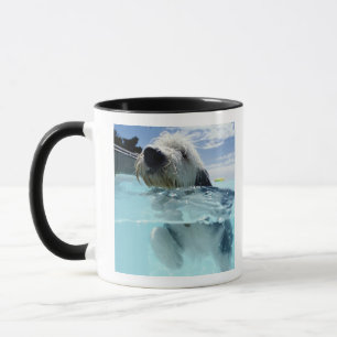 プールの犬の水泳 マグカップ