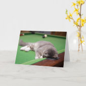 プールを遊んでいる子ネコ カード (黄色い花)