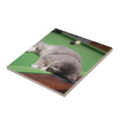 プールを遊んでいる子ネコ タイル (側面)