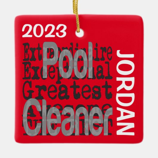 プールクリーナー並外れ セラミックオーナメント (正面)