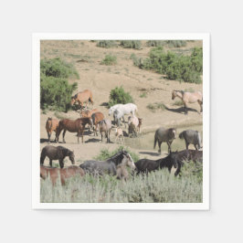 プールパーティータイムサンドウォッシュ流域 スタンダードカクテルナプキン