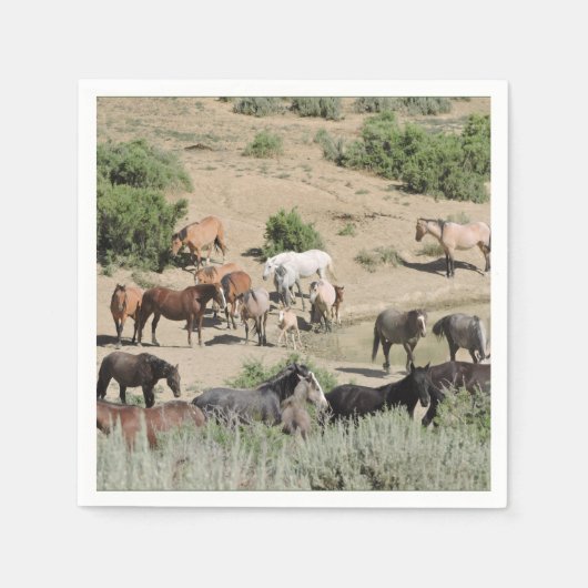 プールパーティータイムサンドウォッシュ流域 スタンダードカクテルナプキン (正面)