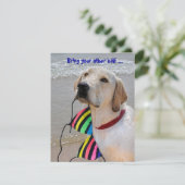 プールパーティーユーモア 招待状 (スタンド正面)