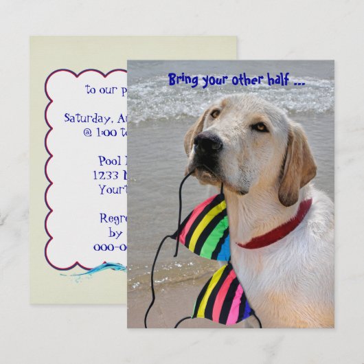 プールパーティーユーモア 招待状 (正面/裏面)